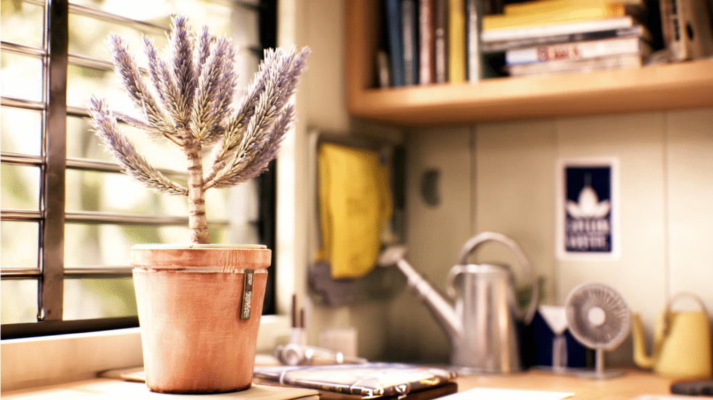 Indoor lavender plant growing on a sunny windowsill in a cozy, lived-in home
