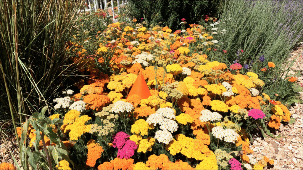 Vibrant outdoor garden filled with blooming yellow and pink yarrow flowers attracting bees and butterflies under bright sunlight.